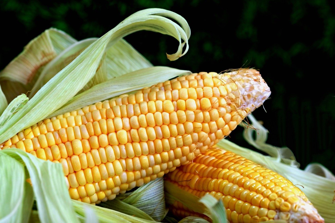Combating Food Shortage during a Crisis